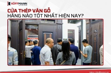 Cửa thép vân gỗ loại nào tốt? Top 5 thương hiệu uy tín 2025 Cửa thép vân gỗ loại nào tốt? Top 5 thương hiệu uy tín 2025