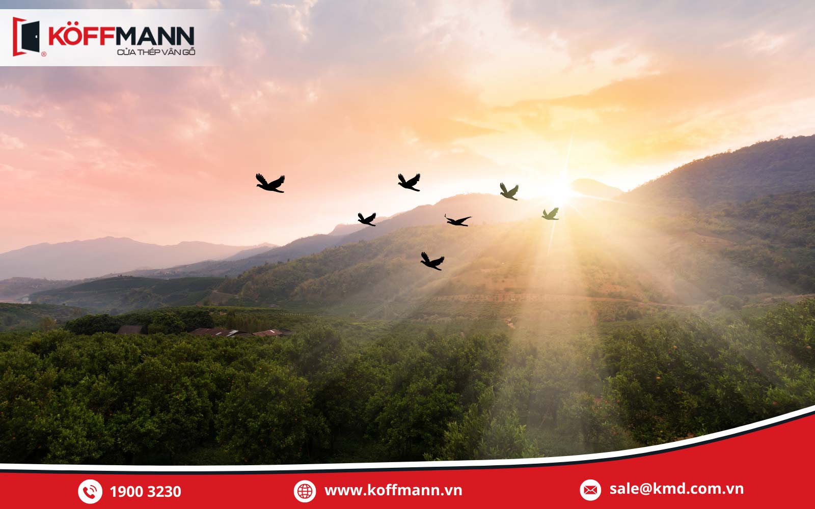 Xác định hướng Đông Tây Nam Bắc qua hành vi bay của chim